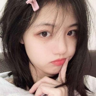 狗狗史酷比